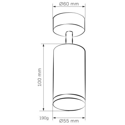 Akcentinis vonios šviestuvas TURYN 1xGU10/10W/230V IP44 juoda