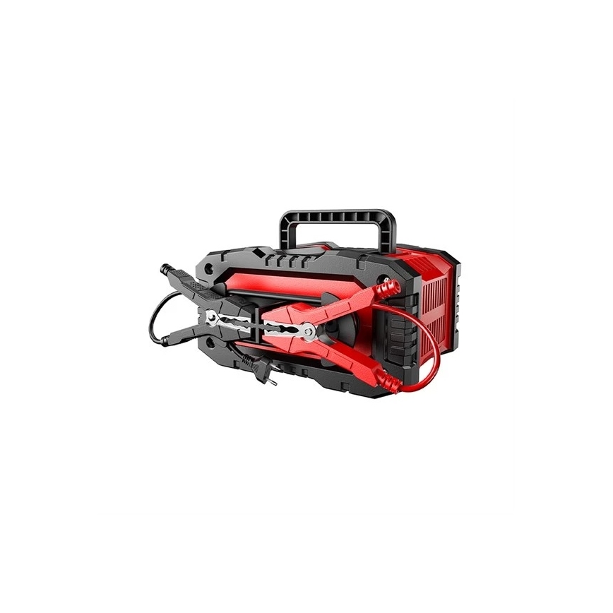 Akumuliatorių įkroviklis 300 W/230 V