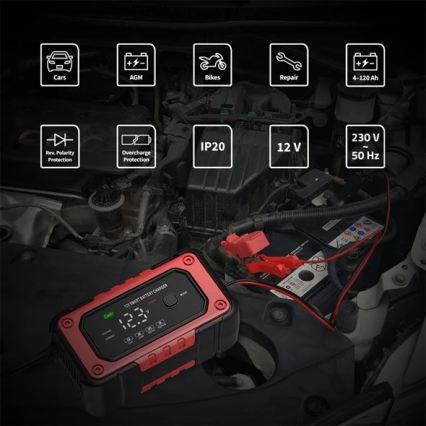 Akumuliatorių įkroviklis 90W/230V