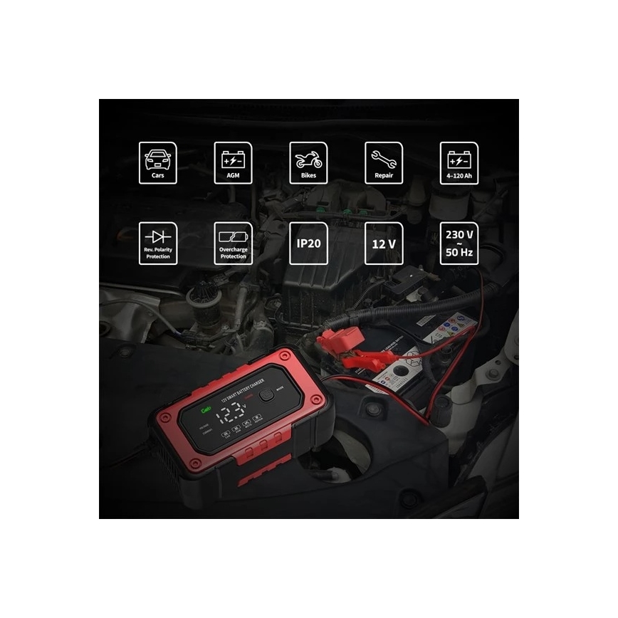 Akumuliatorių įkroviklis 90W/230V