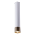 Amplex - taškinis šviestuvas 1xGU10/10W/230V baltas/auksinis