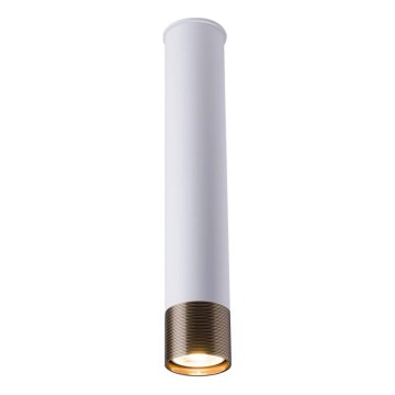 Amplex - taškinis šviestuvas 1xGU10/10W/230V baltas/auksinis