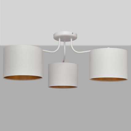 Ant paviršiaus montuojamas sietynas  ALBA 3xE27/15W/230V baltas/auksas