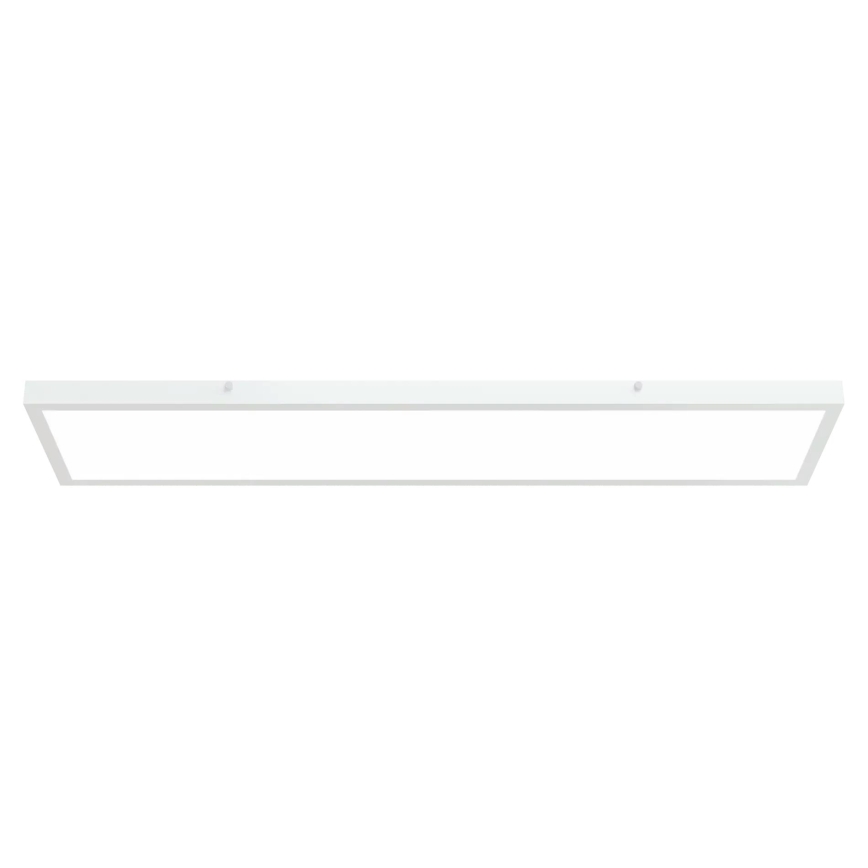 APLED - LED Ant pagrindo montuojamas skydelis LONG LED/40W/230V 4000K 120x30cm IP41 baltas
