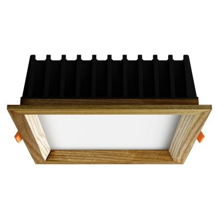 APLED - LED įleidžiamas lubinis šviestuvas SQUARE WOODLINE LED/12W/230V 3000K 17x17 cm uosio medžio masyvo