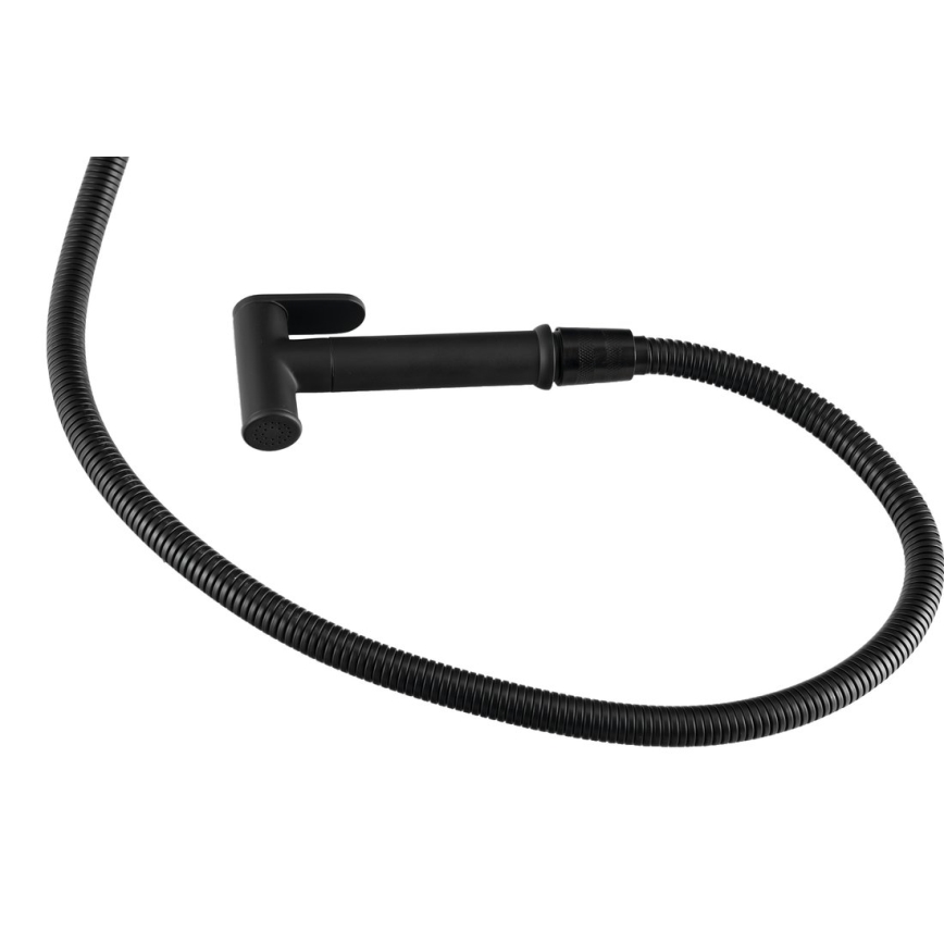 Aqualine - Bidė čiaupas su dušu, skirtas paslėptam montavimui matinė juoda