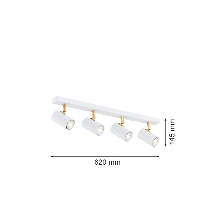 Argon 1689 - Akcentinis šviestuvas LAGOS 4xGU10/5W/230V baltas/auksas