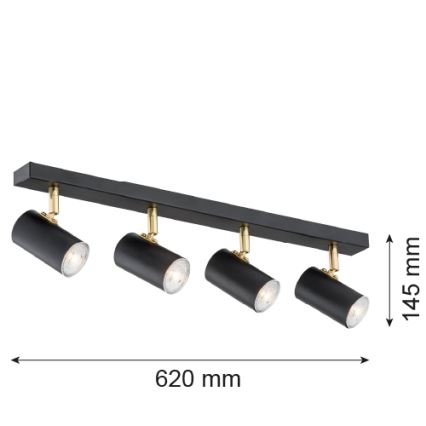 Argon 1690 - Akcentinis šviestuvas LAGOS 4xGU10/5W/230V juodas/žalvaris