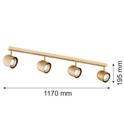 Argon 1810 - Akcentinis šviestuvas ISOLA 4xGU10/5W/230V