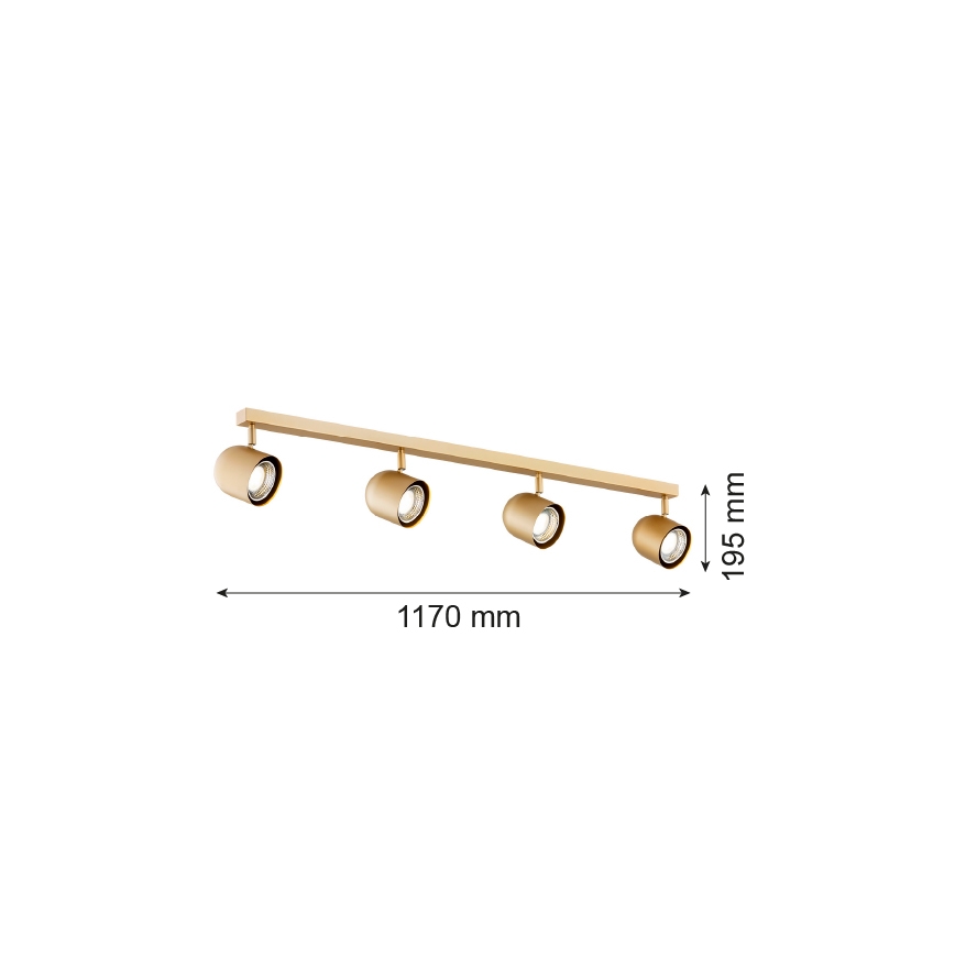Argon 1810 - Akcentinis šviestuvas ISOLA 4xGU10/5W/230V