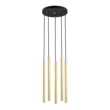 Argon 2109 - LED Pakabinamas sietynas SICILIA 5xLED/4,5W/230V
