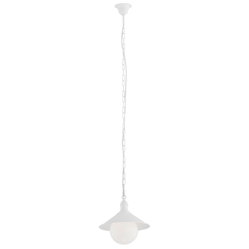 Argon 3296 - Lauko sietynas ERBA BIS 1xE27/60W/230V
