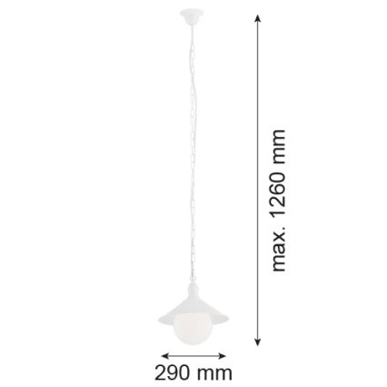 Argon 3296 - Lauko sietynas ERBA BIS 1xE27/60W/230V