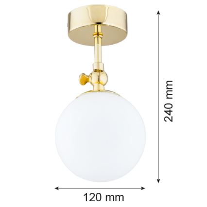 Argon 4001 - Tvirtinamas vonios sietynas LATINA 1xE14/40W/230V IP44