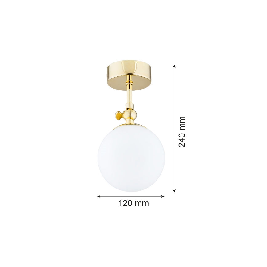 Argon 4001 - Tvirtinamas vonios sietynas LATINA 1xE14/40W/230V IP44