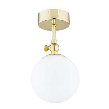 Argon 4001 - Vonios kambario paviršinis lubų šviestuvas LATINA 1xE14/40W/230V IP44