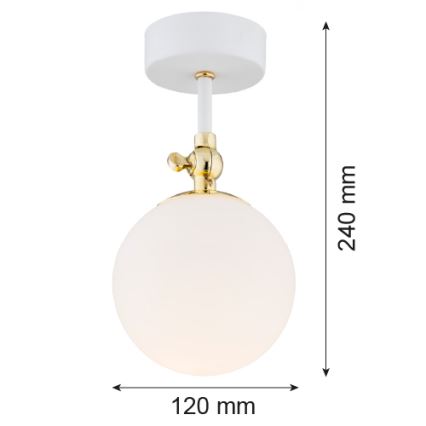 Argon 4002 - Vonios pritvirtinamas sietynas LATINA 1xE14/7W/230V IP44 baltas/aukso