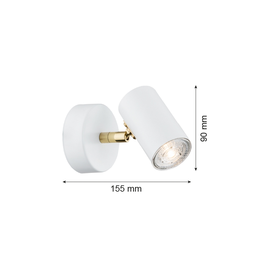 Argon 4209 - Sieninis akcentinis šviestuvas LAGOS 1xGU10/5W/230V baltas/auksas