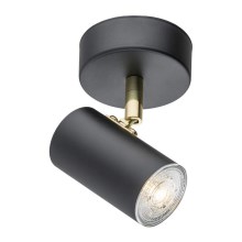 Argon 4210 - Sieninis akcentinis šviestuvas LAGOS 1xGU10/5W/230V juodas/žalvaris
