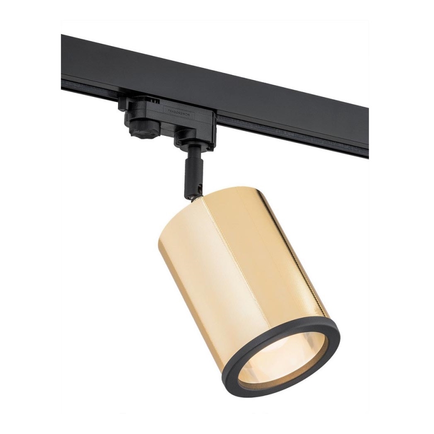 Argon 4303 - Akcentinis šviestuvas bėgių sistemai DELF 1xE27/15W/230V auksas