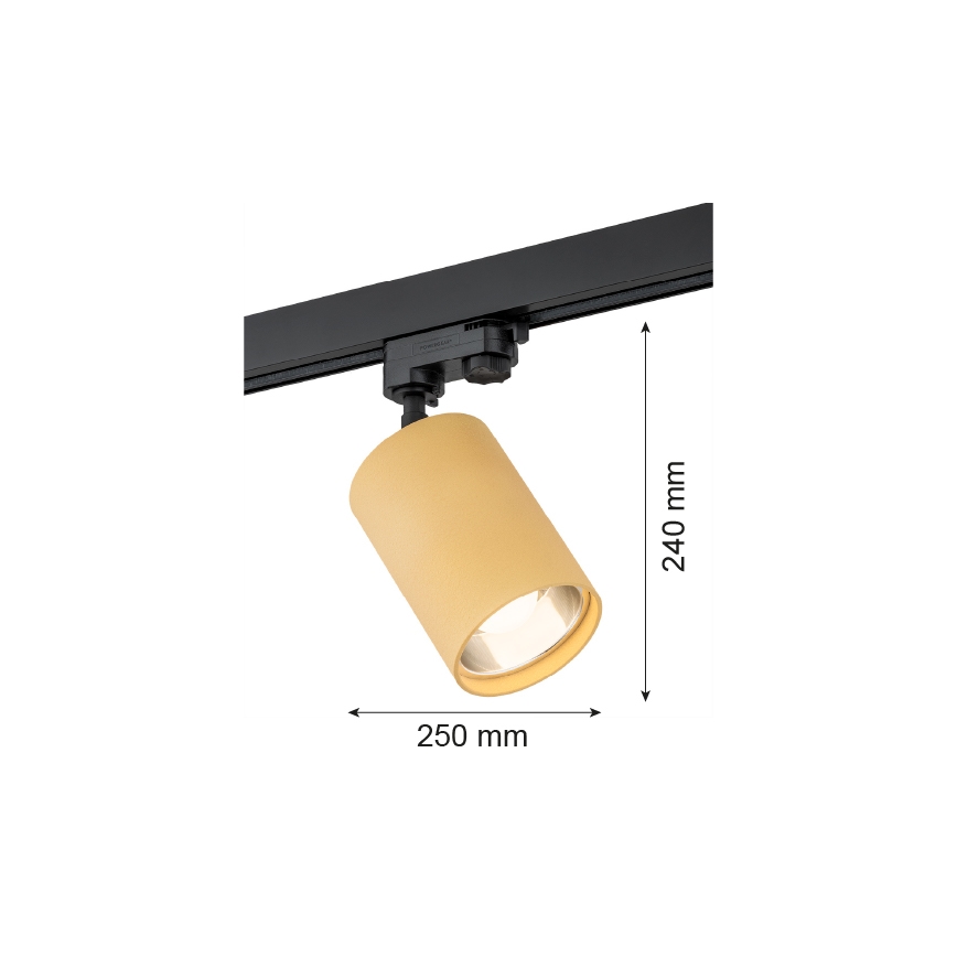 Argon 4304 - Akcentinis šviestuvas bėgių sistemai BERGEN 1xE27/15W/230V auksas