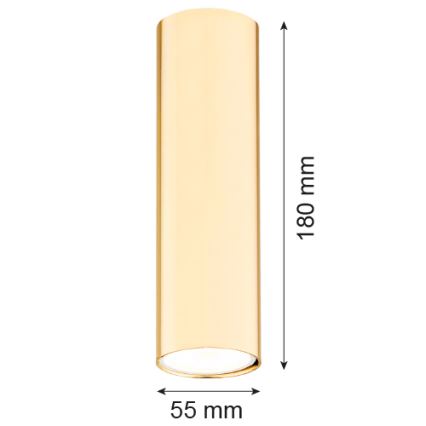 Argon 4761 - Akcentinis šviestuvas TYBER 1xGU10/5W/230V žalvaris