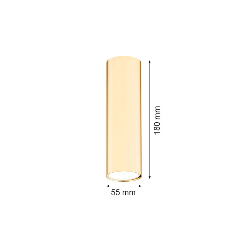 Argon 4761 - Akcentinis šviestuvas TYBER 1xGU10/5W/230V žalvaris