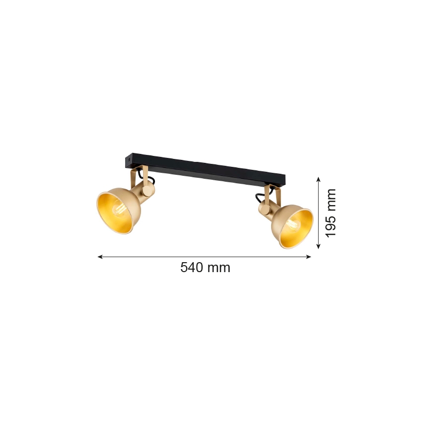Argon 7144 - Akcentinis šviestuvas LENORA 2xE14/7W/230V aukso/juodas