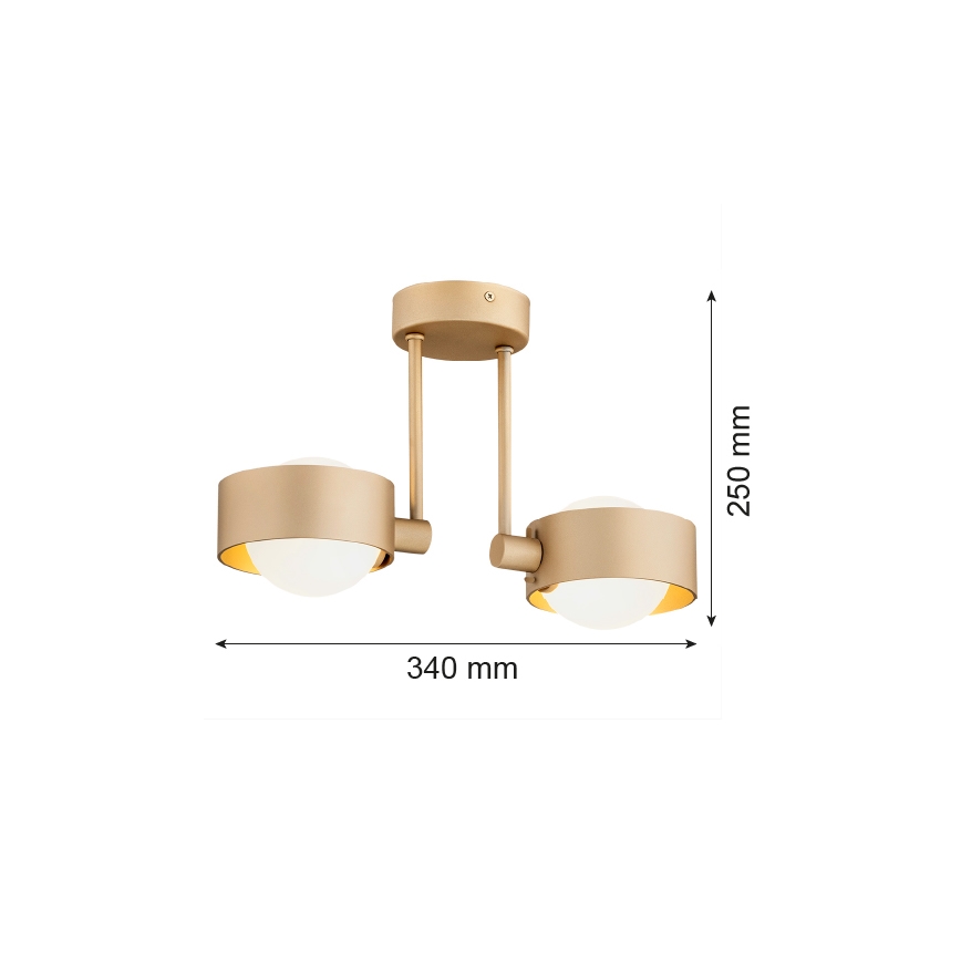 Argon 7215 - Vonios kabinamas sietynas MASSIMO PLUS 2xG9/6W/230V IP44 auksas