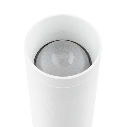 Argon 7223 - LED sieninis šviestuvas GRECO 2xLED/4,2W/230V 3000K balta