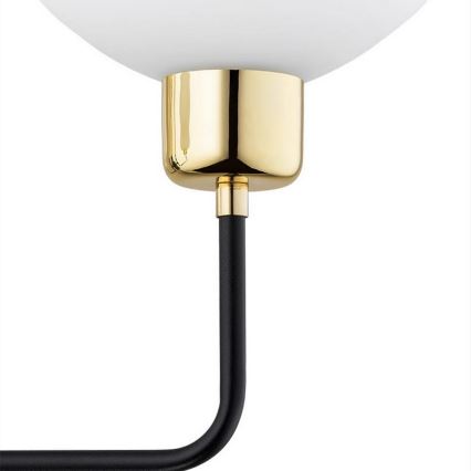 Argon 8032 - Sieninis šviestuvas RAVELLO 1xE14/15W/230V juoda/auksinė