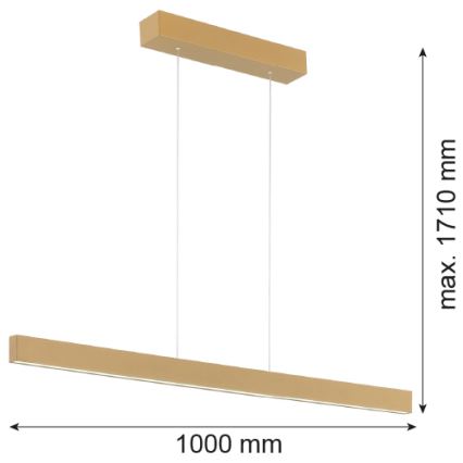 Argon 8306 - LED sietynas, kabinamas ant virvės BALANS LED/35W/230V 3000K auksas