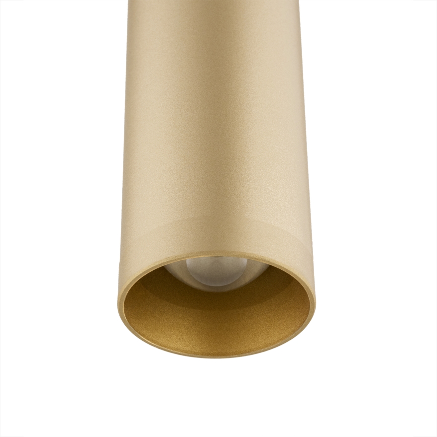 Argon 8327 - LED sietynas, kabinamas ant virvės RIO LED/4,2W/230V 3000K auksas
