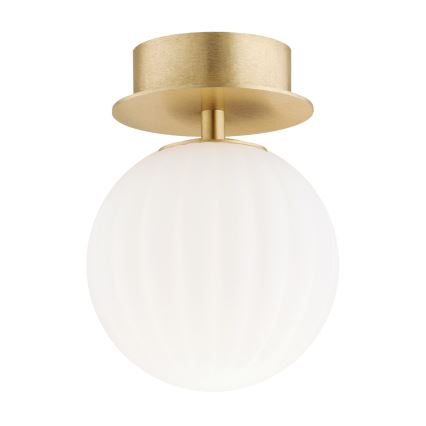 Argon 8504 - Sieninis šviestuvas PALOMA 1xE14/7W/230V auksas/balta