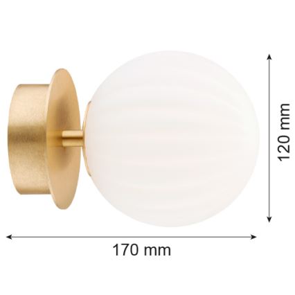 Argon 8504 - Sieninis šviestuvas PALOMA 1xE14/7W/230V auksas/balta