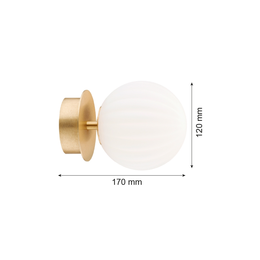 Argon 8504 - Sieninis šviestuvas PALOMA 1xE14/7W/230V auksas/balta