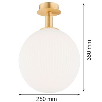Argon 8505 - Lubinis šviestuvas PALOMA 1xE27/15W/230V auksas/balta