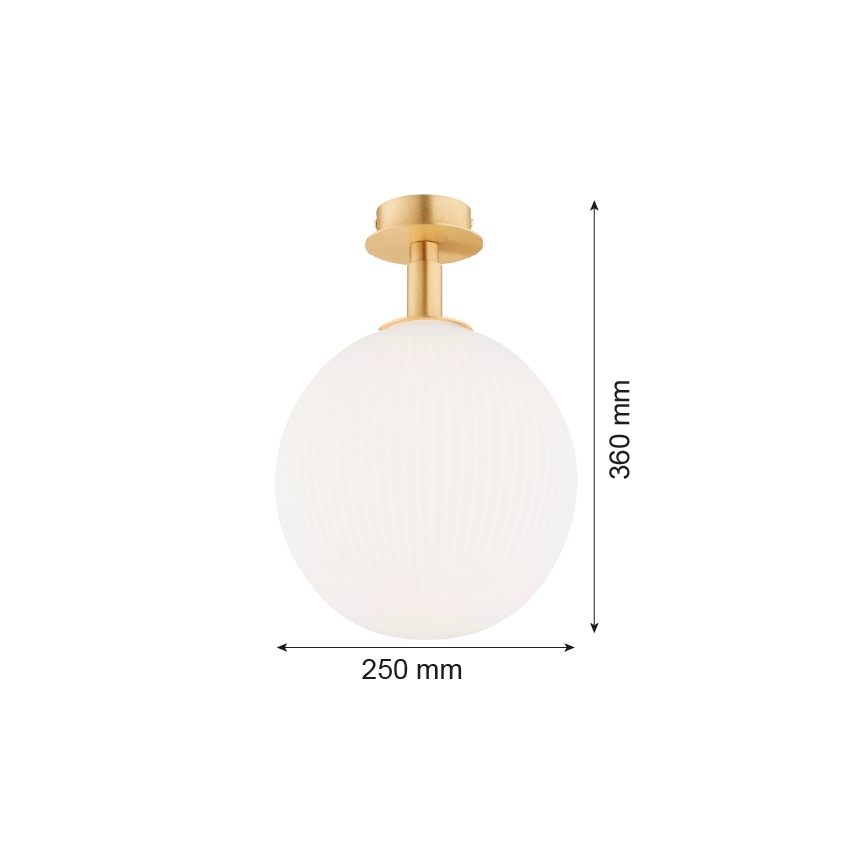 Argon 8505 - Lubinis šviestuvas PALOMA 1xE27/15W/230V auksas/balta