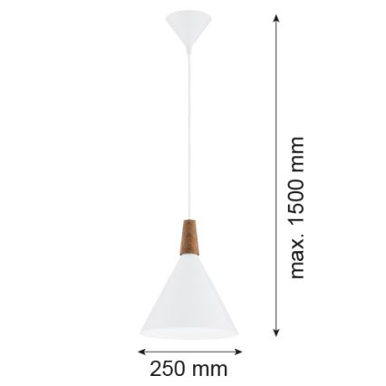 Argon 8630 - Pakabinamas sietynas KEGEL 1xE27/15W/230V balta