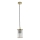 Argon 8755 - Lauko sietynas ant virvės NORFOLK 1xE27/15W/230V IP44 auksas