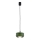 Argon 8815 - Pakabinamas sietynas TEVO 1xG9/4,5W/230V žalia