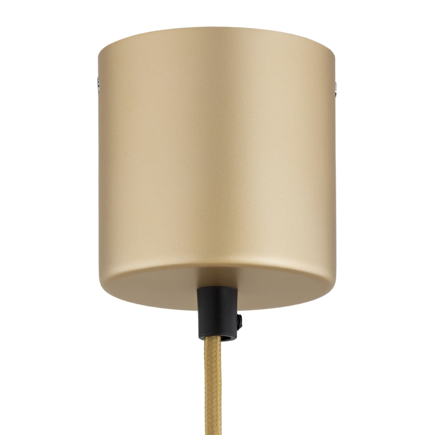 Argon 8869 - LED pakabinamas šviestuvas ant laido BOLTON LED/12,5W/230V 3000K auksinis