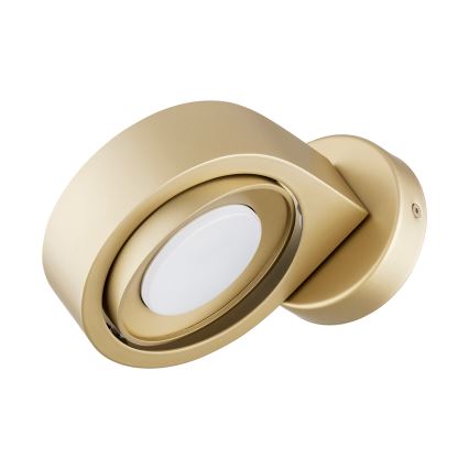 Argon 8899 - Sieninis šviestuvas LOTUS 1xGX53/12W/230V auksinis