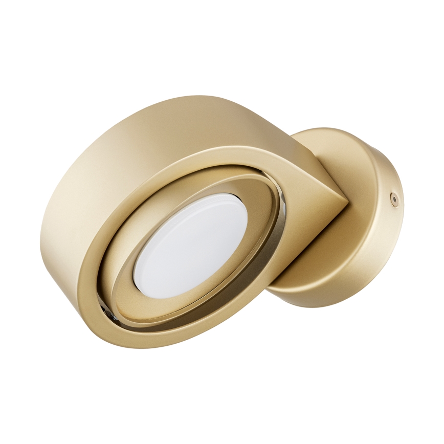 Argon 8899 - Sieninis šviestuvas LOTUS 1xGX53/12W/230V auksinis