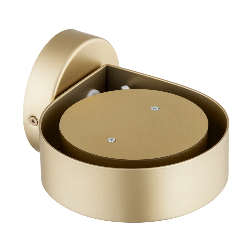 Argon 8899 - Sieninis šviestuvas LOTUS 1xGX53/12W/230V auksinis