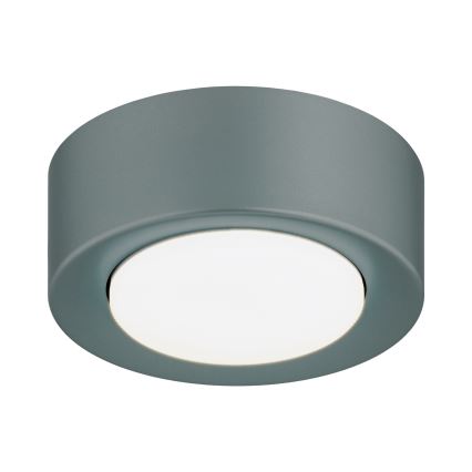 Argon 8917 - lubų šviestuvas ELORA 1xGX53/7W/230V, skersmuo 11 cm, pilkas