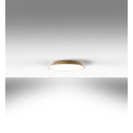 Artemide AR 0241320A - LED lubinis šviestuvas FEBE 4xLED/30W/230V