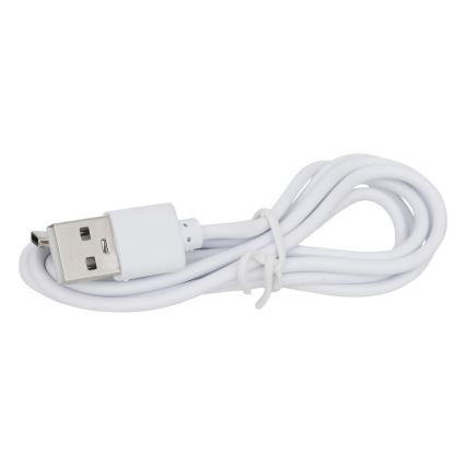 Atmosphera - LED RGBW Įkraunamas lauko Stalinis šviestuvas ZACK LED/3,7V 1200 mAh IP44 turkis
