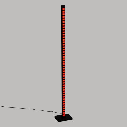 Atmosphera - LED RGB Reguliuojamas toršeras BITĖ LED/230V + nuotolinio valdymo pultas