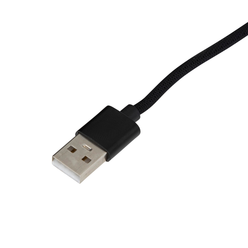 Atmosphera - LED RGB Reguliuojamas toršeras BITĖ LED/230V + nuotolinio valdymo pultas